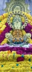 Daily darshan status shyam baba status khatushyamji