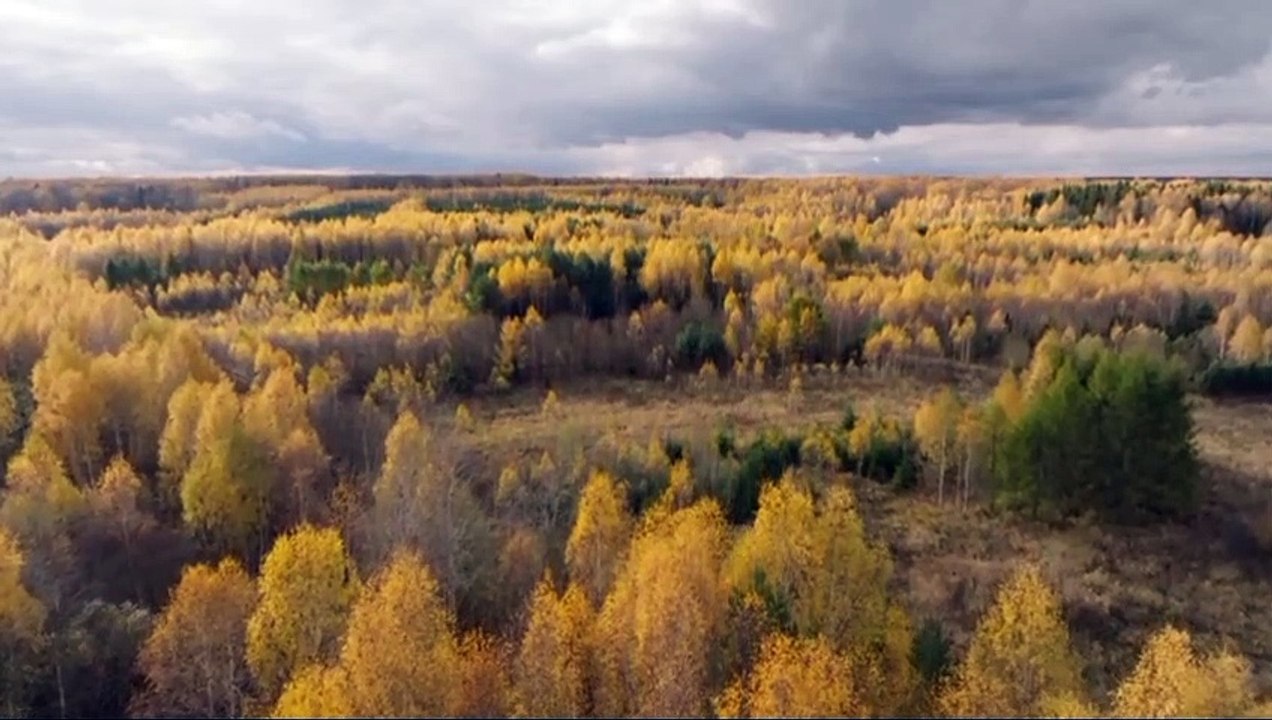 beautiful views seen from above or seen from a drone
