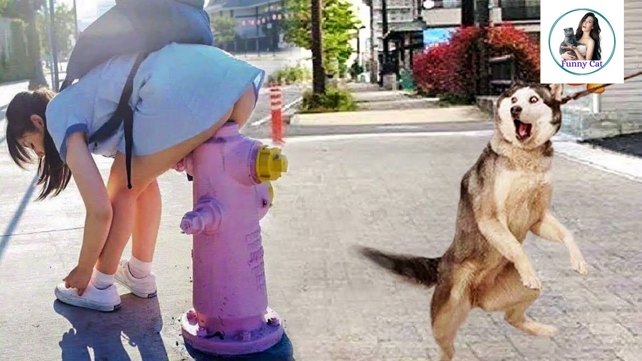 funny animals|funny dog|pets town|try not to laugh|funny animal video 2022|compilation#3@Funny Cat