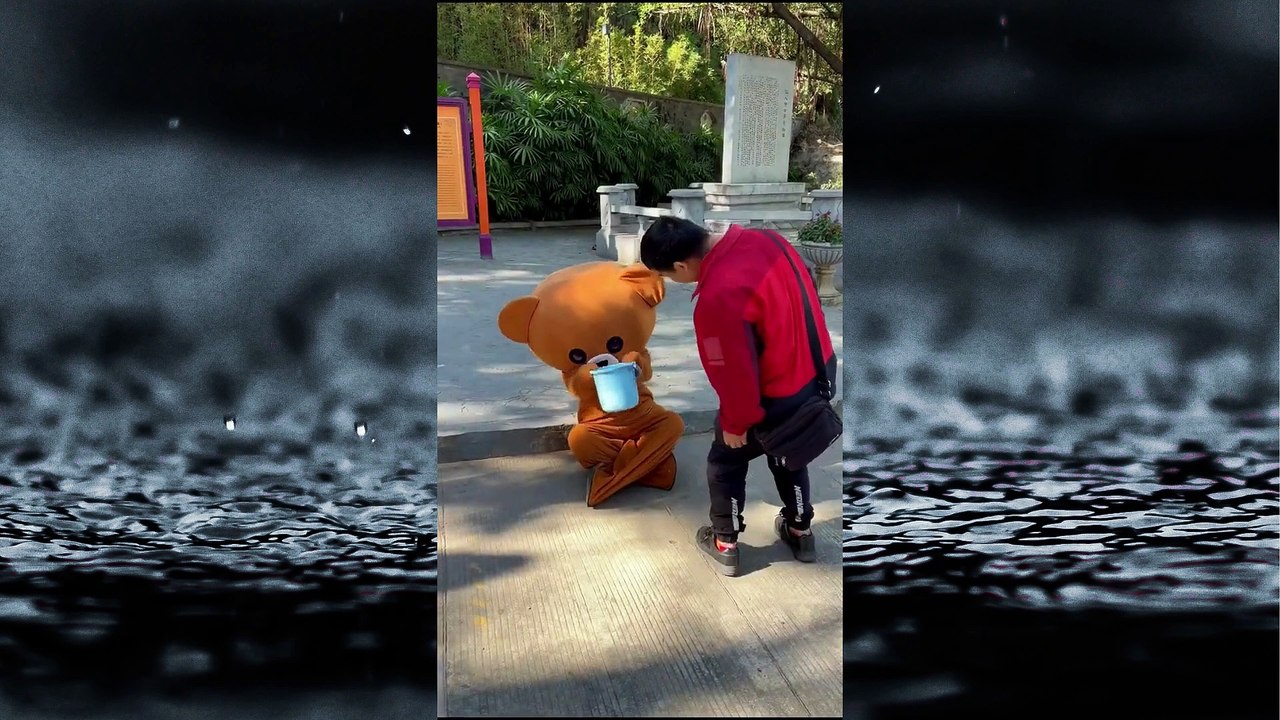 Funny Videos | funny bear #4