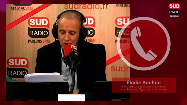 Une discussion inédite sur l'ours entre élus d'Ariège et le ministre de l'Agriculture