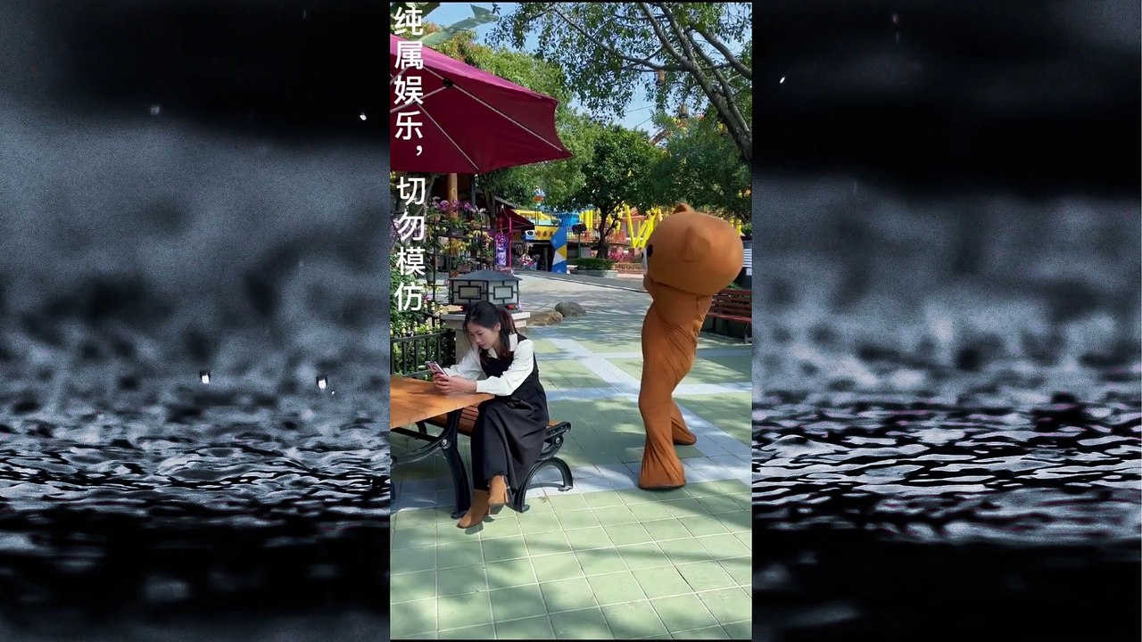 Funny Videos  funny bear # 9