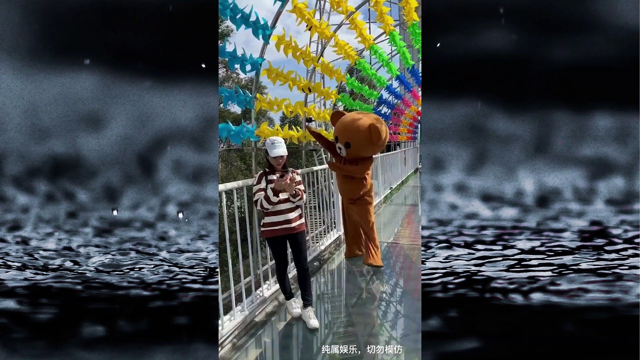 Funny Videos  funny bear #11