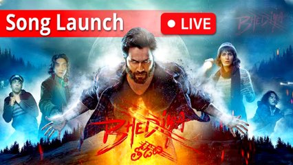 Bhediya Song Thumkeshwari Launch #LIVE | Varun Dhawan | Kriti Sanon | Ganesh Acharya | Pan-India