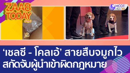 'เชลซี - โคลเอ้' สายสืบจมูกไว สกัดจับผู้โดยสารนำเข้าผิดกฎหมาย (27 ต.ค. 65) แซ่บทูเดย์