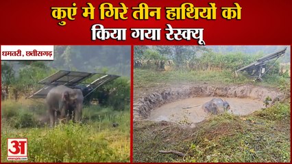 Chhattisgarh News : दुगली में कुएं में गिरे तीन हाथी, वन विभाग की टीम ने हाथियों को किया रेस्क्यू