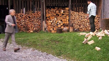 Herzflimmern - Die Klinik am See Staffel 9 Folge 9 HD Deutsch