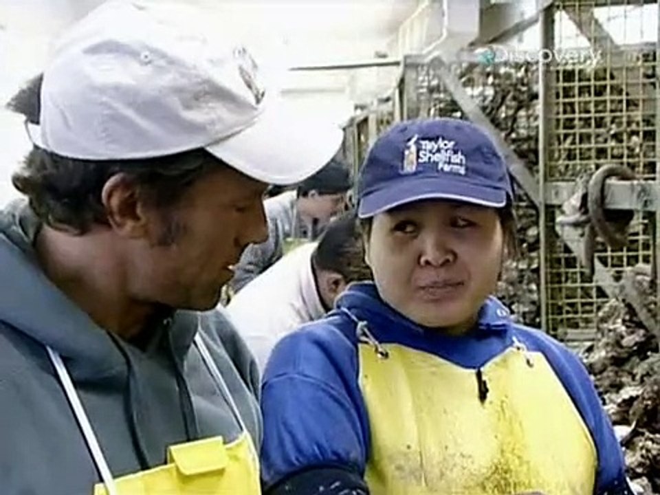 Dirty Jobs - Arbeit, die keiner machen will Staffel 1 Folge 30 HD Deutsch