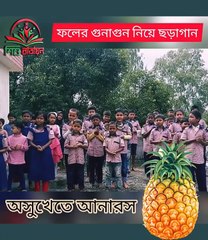 আম খেলে ঘুম হয়, জাম খেলে রক্ত। ছড়া গান।