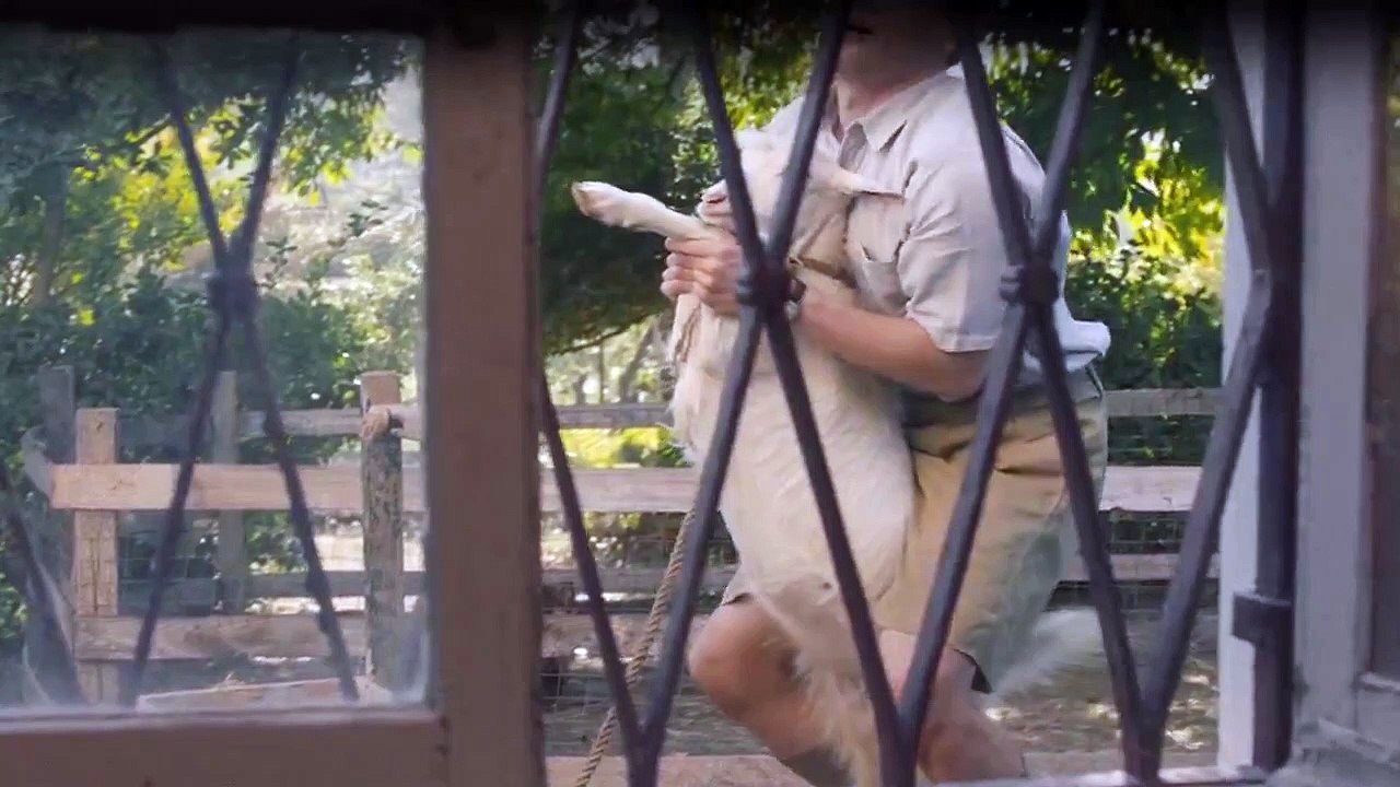 The Durrells Staffel 2 Folge 2 HD Deutsch