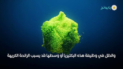 رائحة المهبل الكريهة أسبابها وعلاجها