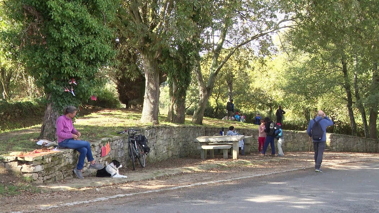 A pedal o a caballo también se llega al Obradoiro: miles de peregrinos eligen alternativas a caminar