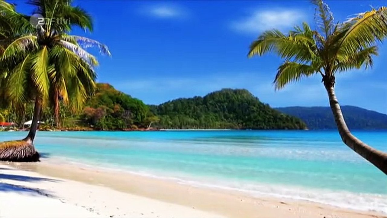 Löwenzahn Staffel 32 Folge 3 HD Deutsch