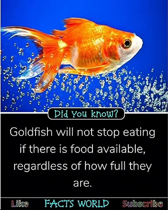 Did You Know #1 - Random Facts & information -- Facts World -fun fact