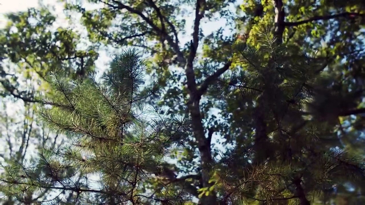 Ins Unbekannte - Mysterien auf der Spur Staffel 1 Folge 6 HD Deutsch