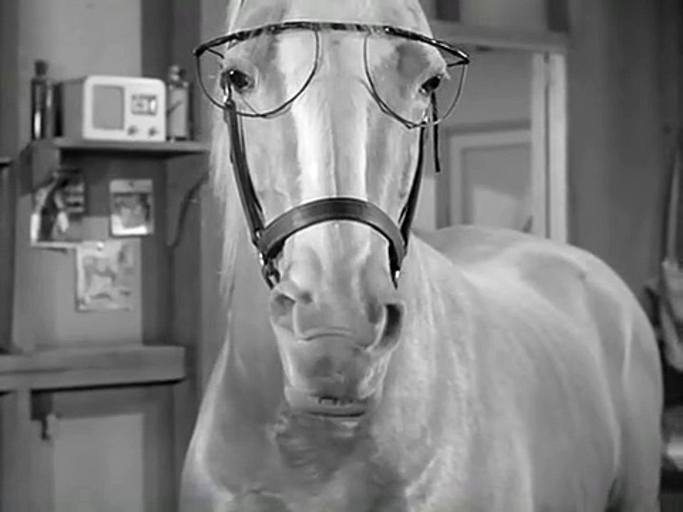 Mr. Ed Staffel 5 Folge 10 HD Deutsch