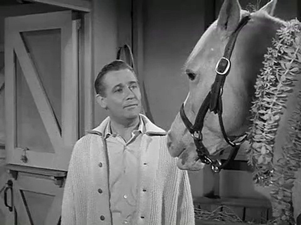 Mr. Ed Staffel 5 Folge 12 HD Deutsch