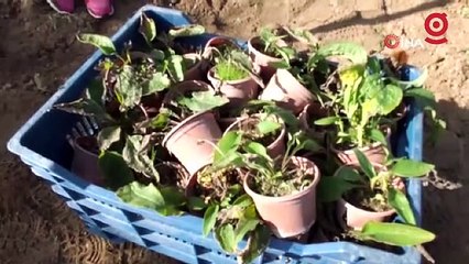 Dizi oyuncusundan girişimcisine, çiftçi olmak için eğitim alıyorlar