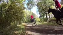 Moment hunt saboteur struck by speeding car during Leicestershire hunting meet