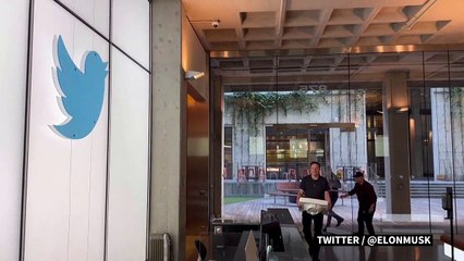 'The Bird is freed': Elon Musk takes control of Twitter