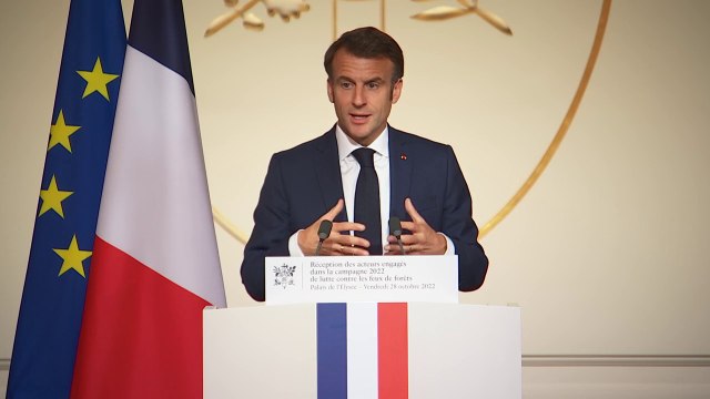 Incendies: Emmanuel Macron veut replanter un milliard d'arbres en 10 ans en France