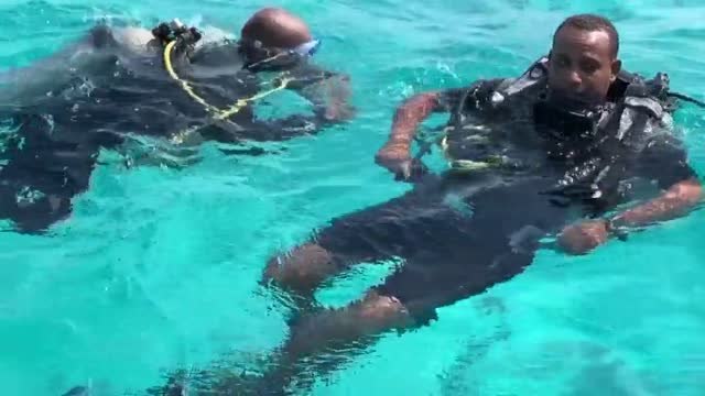 Los corales marinos, una joya de la humanidad amenazada por el cambio climático