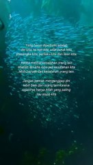 kata bijak motivasi kehidupan