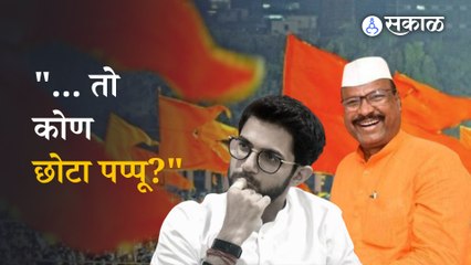 Abdul sattar on Aditya thackeray: कृषी मंत्र्यांनी आदित्य ठाकरेंचा उल्लेख 'छोटे पप्पू' असा का केला?
