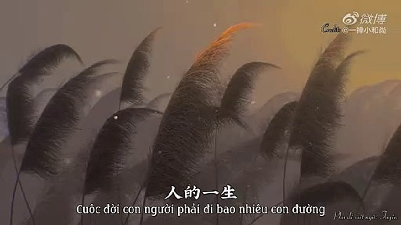 Vietsub Video Tiểu Hoà Thượng Nhất Thiền số ngày 11 05 2020