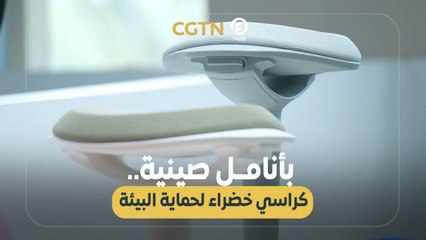 بأنامل صينية.. كراسي خضراء لحماية البيئة