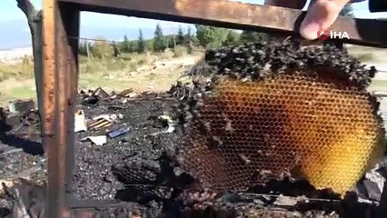 Böyle vicdansızlık görülmedi