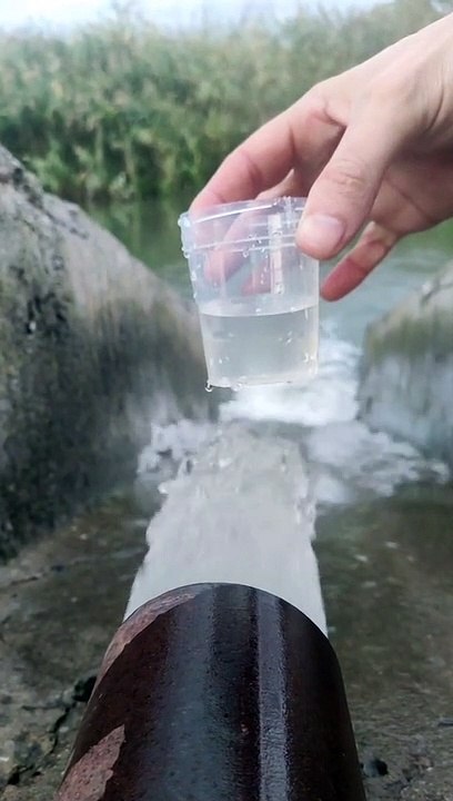 this is how river water looks from a microscope