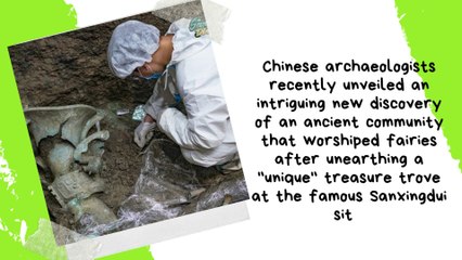 Does this incredible new discovery mean we should believe in fairies after all | Discover Me