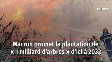 Macron promet la plantation de « 1 milliard d'arbres » d'ici à 2032