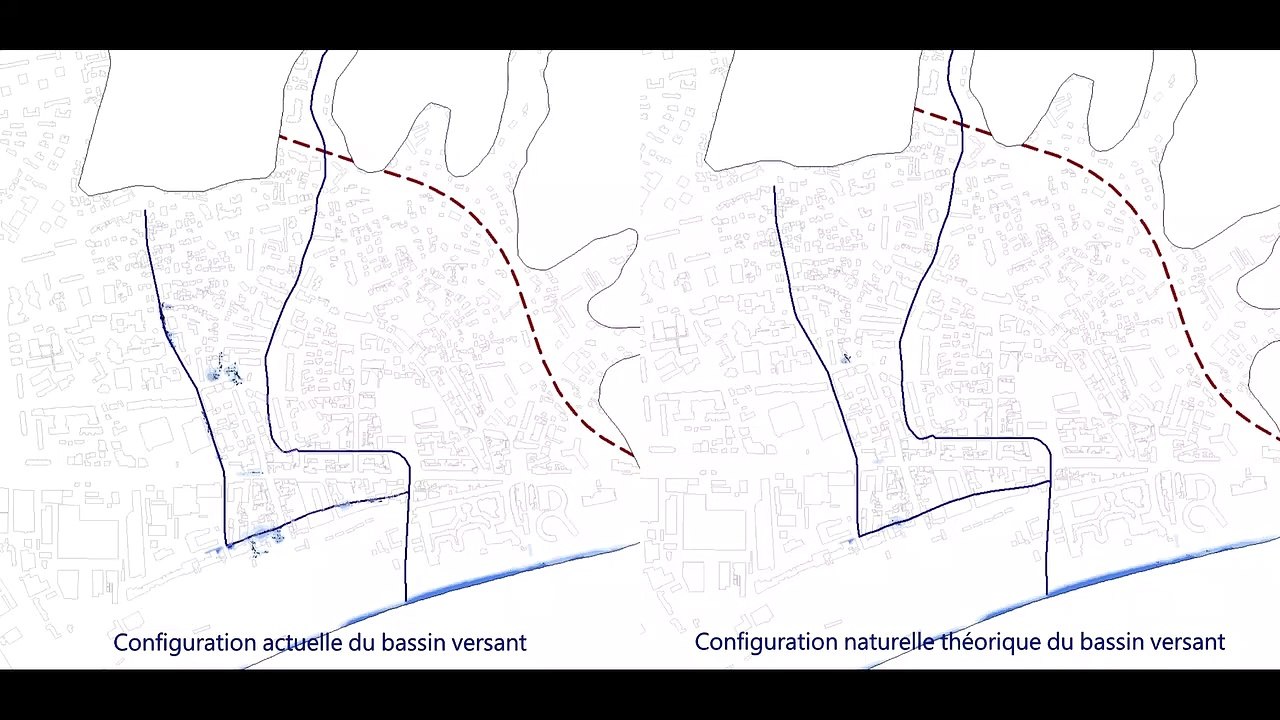 Q10_comparaison_dynamique_vf