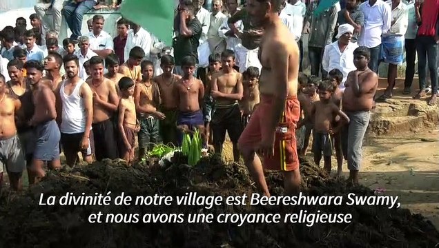 En Inde, une bataille de bouses de vache pour fêter un dieu hindou