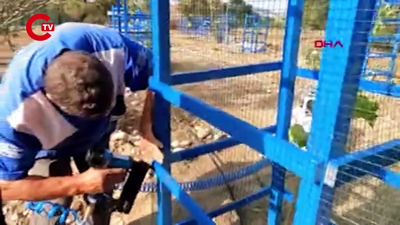 Emekli Hayvanlar Çiftliği'ne kuşlar için 29 ağaç dikildi