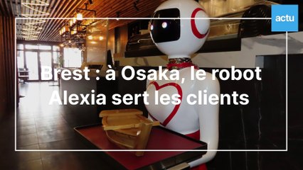 Brest : à Osaka, le robot Alexia sert les clients 