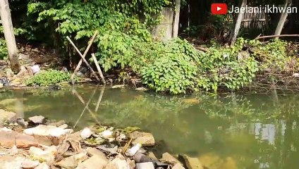 Mancing Disini Gak Pake Lama Langsung Strike