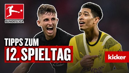Bundesliga, 12. Spieltag - Prognose: Turbo-Eintracht vs. erstarkten BVB