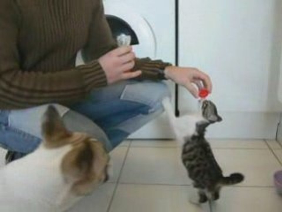 Roxy bébé et son lait