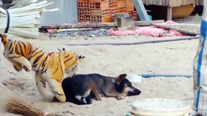 Try Not To Laugh Challenge-You Will Laugh Within 10 sec With These Funny Dog Videos