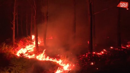 Reportage : la mission sénatoriale sur la prévention des incendies sur le terrain en Gironde