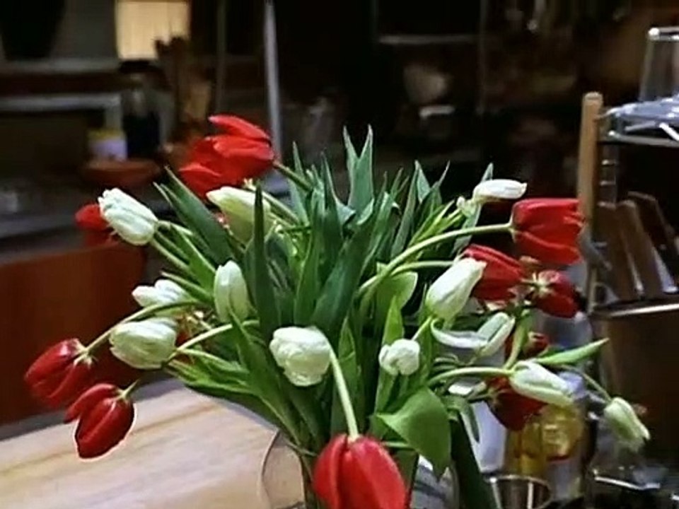 Nash Bridges Staffel 5 Folge 19 HD Deutsch