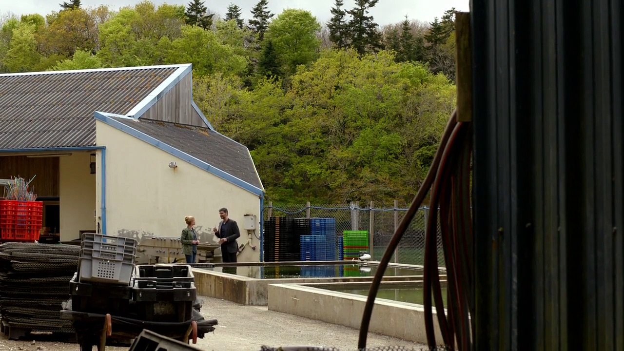 Kommissar Dupin Staffel 1 Folge 4 - Part 01 HD Deutsch