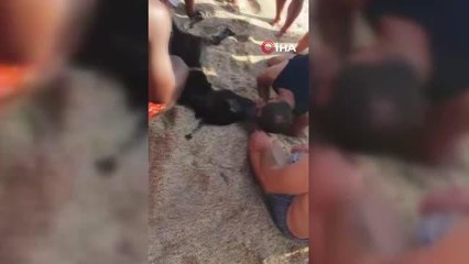 Denize girip telef olan eşeği suni teneffüs yaparak hayata döndürmeye çalıştı