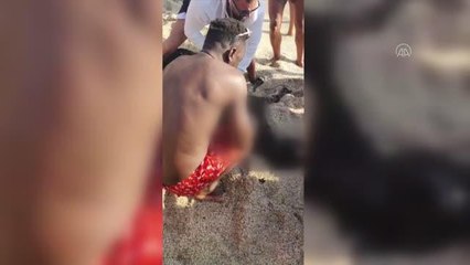 Kleopatra Plajı'nda sahibiyle denize giren eşek boğuldu