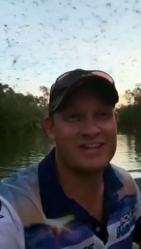 Etre survolé par des milliers de chauve-souris géantes... terrifiant