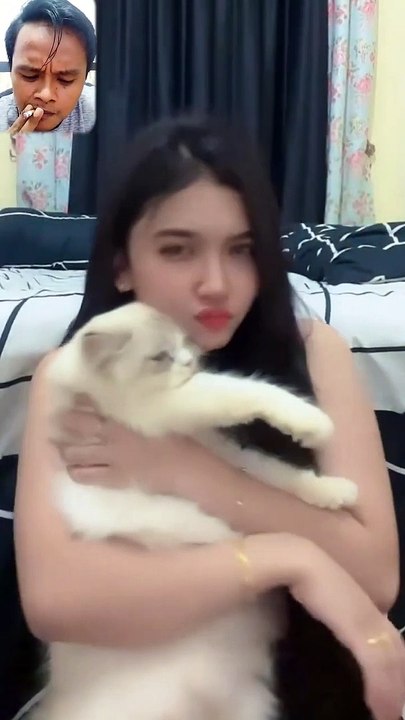 pecinta kucing
