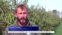 Le Journal - 28/10/2022 - CHALEUR D'AUTOMNE / Les conséquences pour les maraîchers